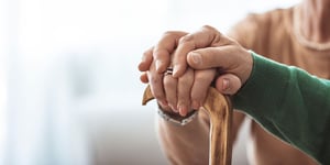 shutterstock_1946921596